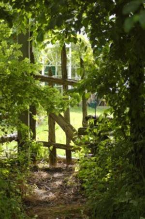 Mackechnie House Bed & Breakfast Cobourg Bagian luar foto