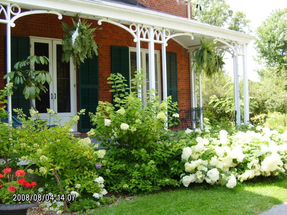 Mackechnie House Bed & Breakfast Cobourg Bagian luar foto